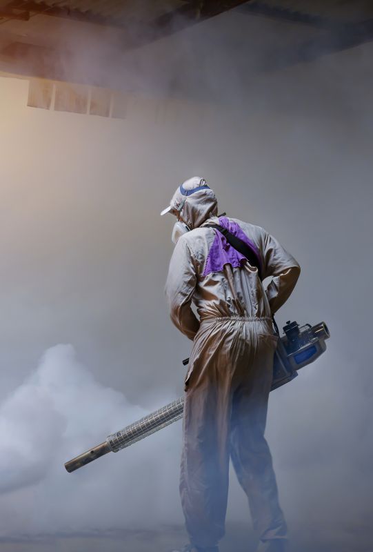 Rat Fumigation Service in Bellingham, WA