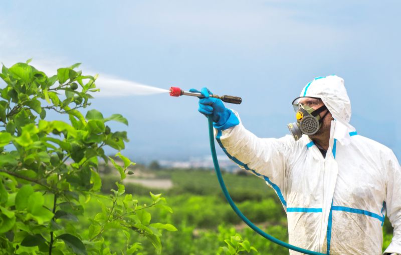 Fumigation Service in Woodbridge, VA