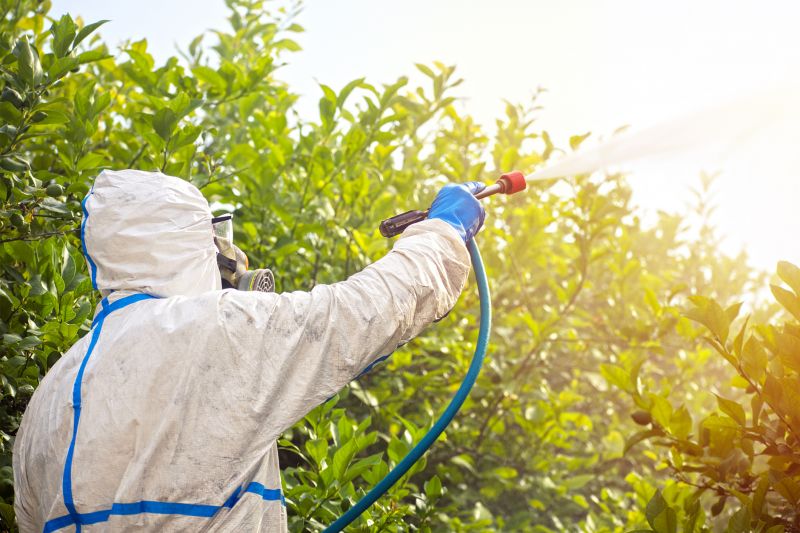 Spider Fumigation Service in Kalamazoo, MI